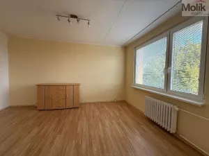 Pronájem bytu 1+1, Litvínov - Horní Litvínov, U Zámeckého parku, 35 m2