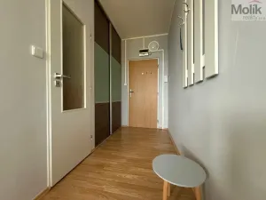 Pronájem bytu 1+1, Litvínov - Horní Litvínov, U Zámeckého parku, 35 m2