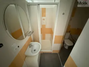 Pronájem bytu 1+1, Litvínov - Horní Litvínov, U Zámeckého parku, 35 m2