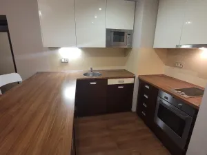 Pronájem bytu 2+kk, Plzeň - Jižní Předměstí, U Borského parku, 52 m2