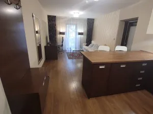 Pronájem bytu 2+kk, Plzeň - Jižní Předměstí, U Borského parku, 52 m2