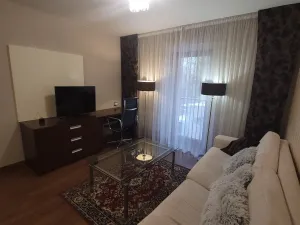 Pronájem bytu 2+kk, Plzeň - Jižní Předměstí, U Borského parku, 52 m2