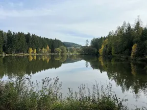 Prodej louky, Kamberk, 3653 m2