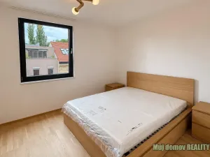 Pronájem bytu 2+kk, Praha - Žižkov, Hartigova, 55 m2