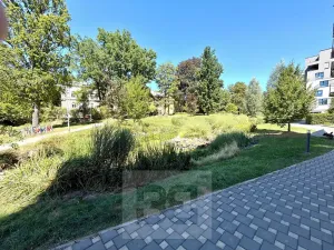 Pronájem bytu 1+kk, Liberec, Vítězná, 37 m2