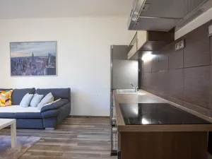 Prodej bytu 2+kk, Praha - Žižkov, Jana Želivského, 56 m2