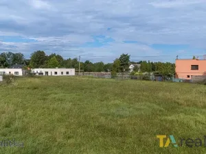 Prodej pozemku pro bydlení, Orlová, Rychvaldská, 6606 m2