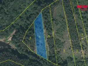 Prodej lesa, Slabčice - Písecká Smoleč, 48910 m2