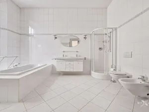 Prodej bytu 5+1, Praha - Nové Město, Mezibranská, 230 m2