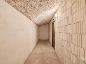 Prodej bytu 5+1, Praha - Nové Město, Mezibranská, 230 m2