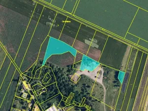 Dražba rodinného domu, Čelechovice na Hané, 71 m2