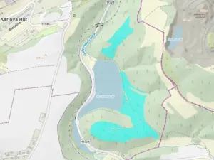 Dražba lesa, Králův Dvůr, 108983 m2