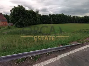 Prodej podílu louky, Pilníkov, 980 m2