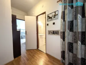 Prodej bytu 2+1, Plzeň, Koterovská, 55 m2