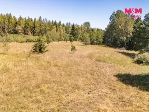 Prodej louky, Bezdružice - Řešín, 8235 m2
