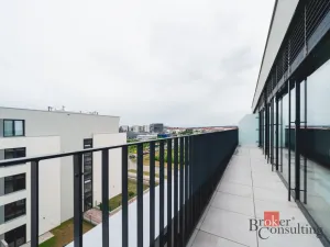 Pronájem bytu 2+kk, Plzeň - Jižní Předměstí, Železná, 62 m2