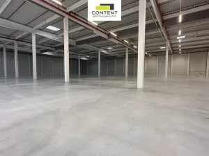 Pronájem výrobních prostor, Myslinka, 29469 m2