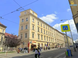 Pronájem bytu 1+1, Praha - Žižkov, Chelčického, 33 m2