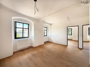 Pronájem bytu 3+kk, Osek, Tovární, 48 m2