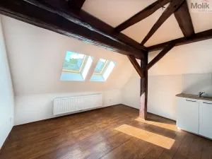 Pronájem bytu 2+kk, Osek, Tovární, 36 m2