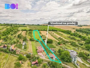 Prodej zemědělské usedlosti, Uherské Hradiště - Mařatice, Vinohradská, 80 m2