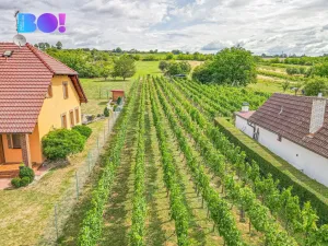 Prodej zemědělské usedlosti, Uherské Hradiště - Mařatice, Vinohradská, 80 m2