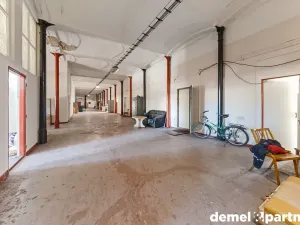 Prodej výrobních prostor, Světlá Hora, 6500 m2