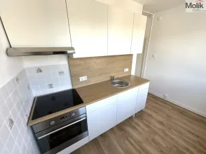 Pronájem bytu 2+1, Duchcov, Družby, 52 m2