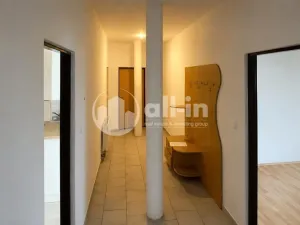 Pronájem bytu 3+1, Vyškov - Brňany, Palánek, 123 m2