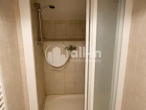 Pronájem bytu 3+1, Vyškov - Brňany, Palánek, 123 m2