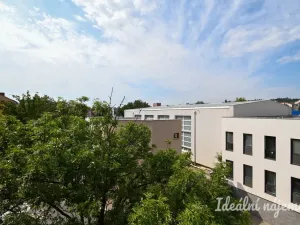 Pronájem bytu 3+1, Brno, Polní, 77 m2