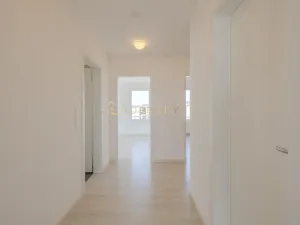 Pronájem bytu 3+kk, Olomouc - Nová Ulice, Karla Mareše, 108 m2