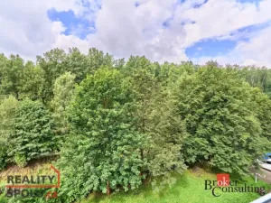 Prodej bytu 3+1, Kraslice, Družstevní, 62 m2