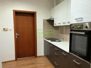 Pronájem bytu 2+1, Liberec - Liberec II-Nové Město, Studničná, 66 m2