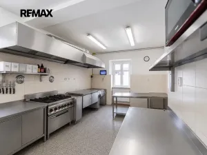 Prodej rodinného domu, Svinaře, Zelená Hora, 500 m2