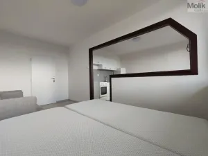 Pronájem bytu 1+1, Most, Růžová, 40 m2