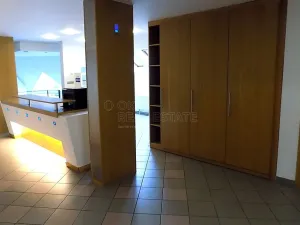 Pronájem kanceláře, Brno, Vídeňská, 250 m2