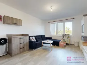 Prodej bytu 2+1, Rakvice, Družstevní, 59 m2