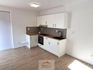 Pronájem rodinného domu, Valašské Meziříčí, 28. října, 47 m2