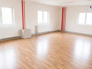 Pronájem skladu, Vejprnice, Tyršova, 315 m2