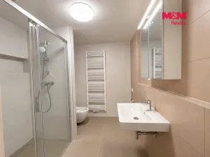 Pronájem bytu 2+kk, Brandýs nad Labem-Stará Boleslav - Stará Boleslav, 49 m2