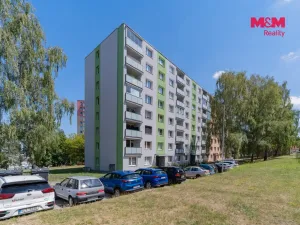 Pronájem bytu 2+1, Cheb, Palackého, 63 m2