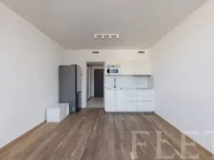 Pronájem bytu 1+kk, Praha - Libeň, Kurta Konráda, 33 m2