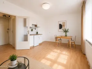 Pronájem bytu 1+kk, Praha - Nové Město, Biskupský dvůr, 26 m2