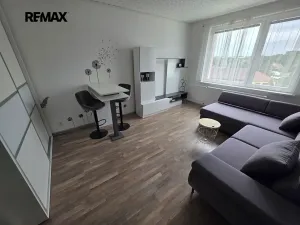Pronájem bytu 1+kk, Doloplazy, 31 m2
