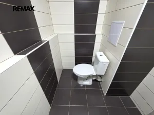 Pronájem bytu 1+kk, Doloplazy, 31 m2