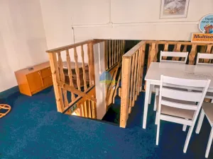 Prodej obchodního prostoru, Aš, Sadová, 241 m2