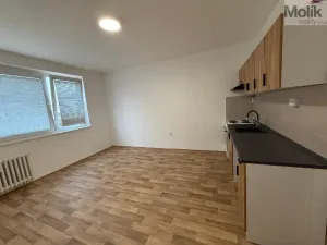 Pronájem bytu 2+kk, Ústí nad Labem - Severní Terasa, Šrámkova, 40 m2