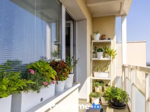 Prodej bytu 3+1, Brno, U pošty, 73 m2