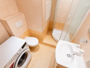 Prodej bytu 2+kk, Teplice - Trnovany, U Červeného kostela, 43 m2